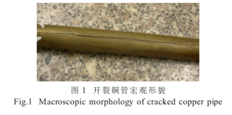 1616120946581551.png image.png