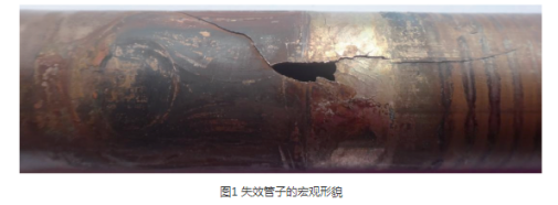 1631759499201389.png image.png