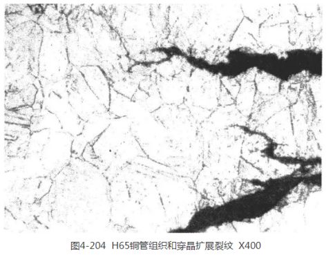 1632364420497558.png image.png